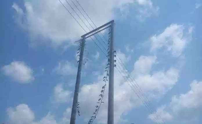 Electric poles under a distribution line in Onicha LGA, Ebonyi State. Residents' long wait for cables to be installed on them isn't over yet. Photo: 'Dotun Akintomide